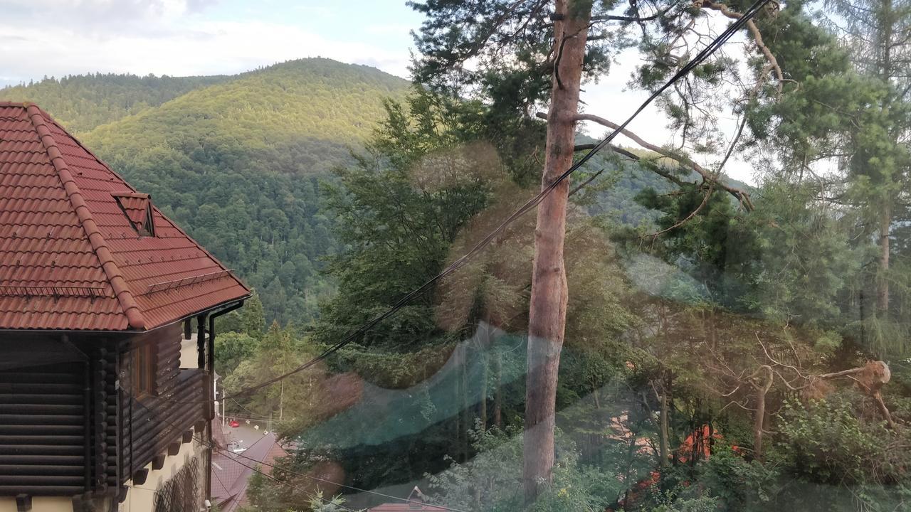 Casa Adina Hotel Sinaia Exterior photo