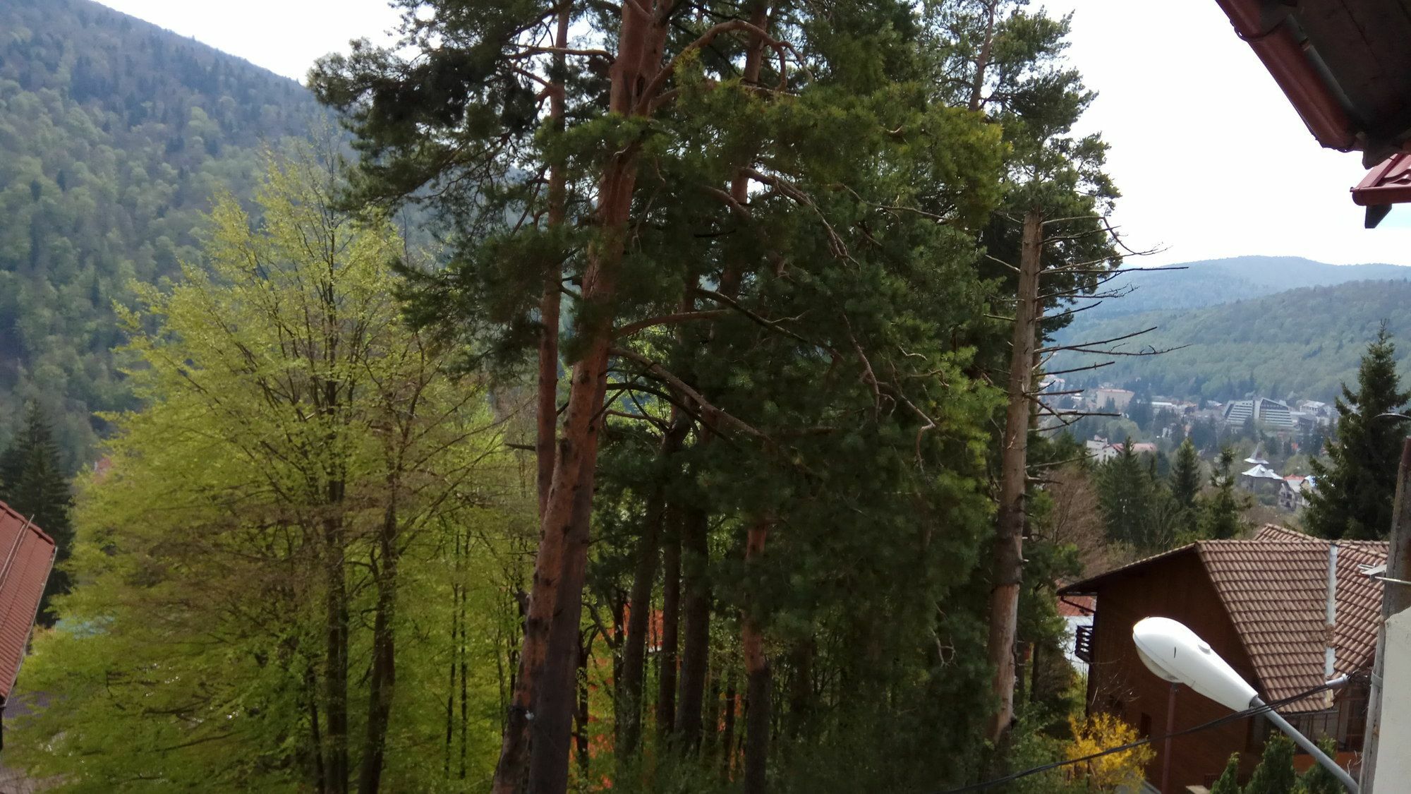 Casa Adina Hotel Sinaia Exterior photo